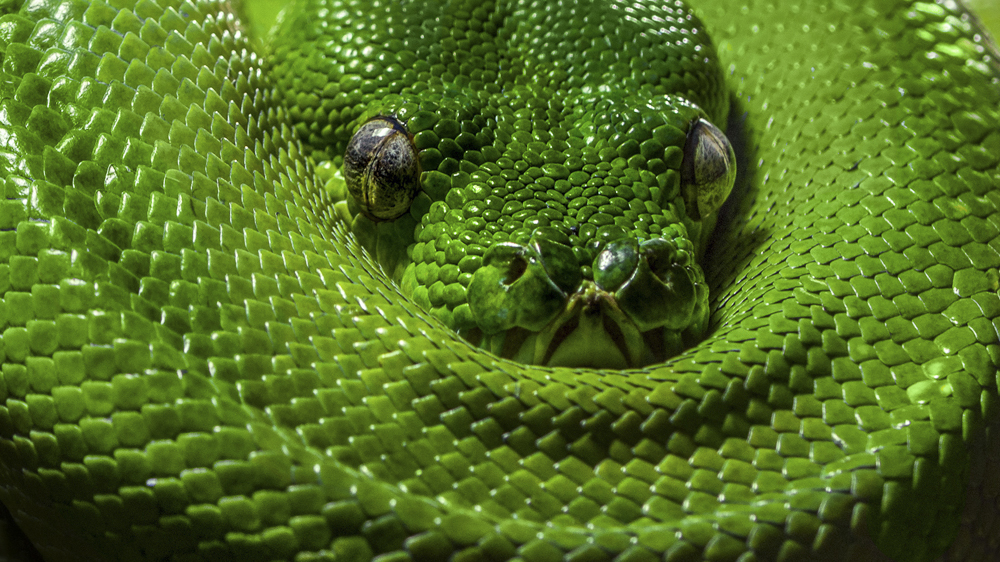 Platz 4 Andreas Doenhuber